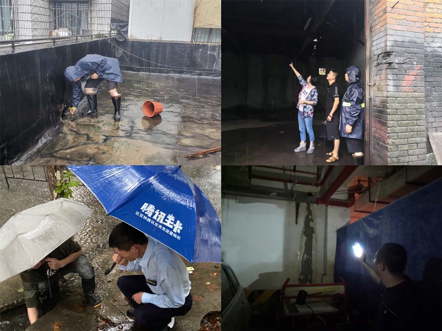 23-嘉来资产2_副本 23-嘉来资产2_副本