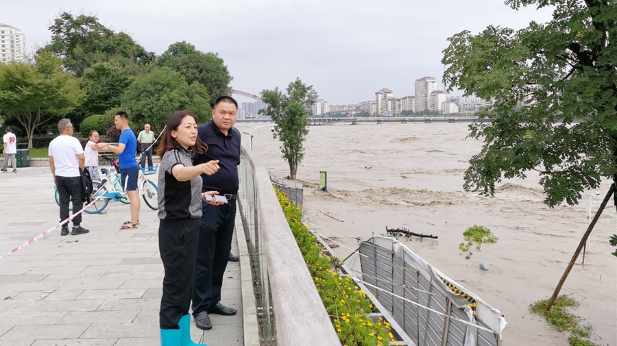 06-8月17日,肖林书记在三江码头检查洪峰过境情况_副本 06-8月17日,肖林书记在三江码头检查洪峰过境情况_副本