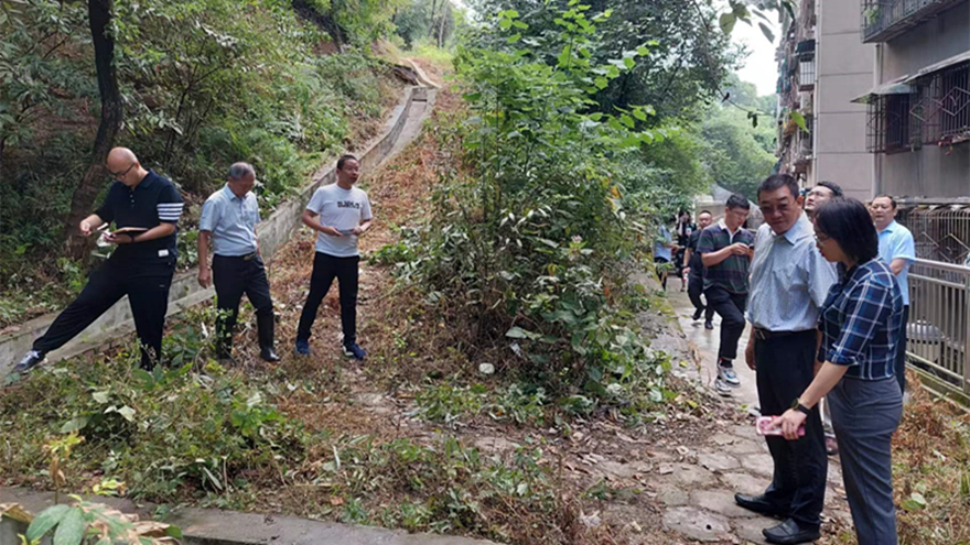 2.集团党委副书记、总经理程一查看新华小区边坡治理情况_副本