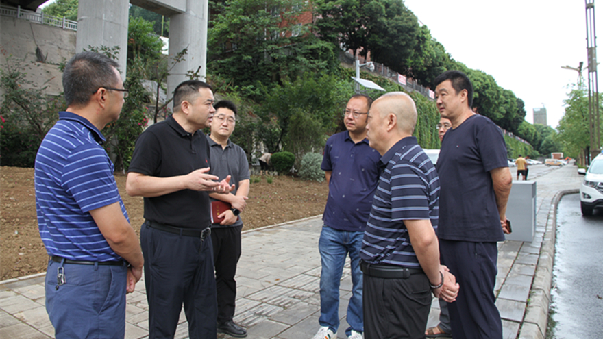 肖董巡察剑南路改造一期