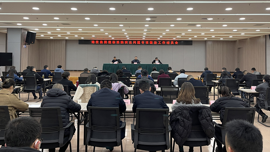 招标采购突出问题专项整治通讯稿照片 招标采购突出问题专项整治通讯稿照片