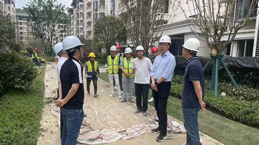 选定照片3 选定照片3