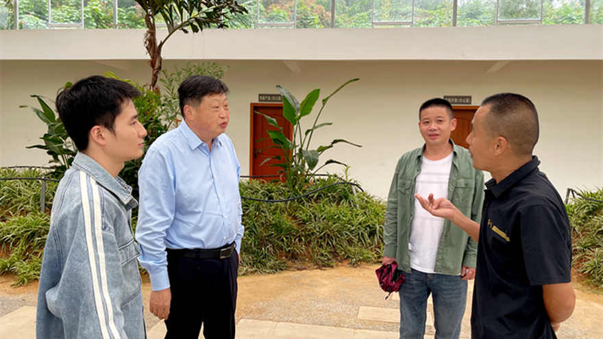 绵投集团党委书记、董事长李桂炳调研乡村振兴驻村帮扶工作