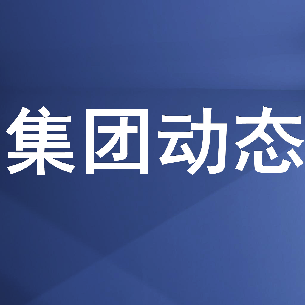 绵投集团召开“防风险·护稳定·保世运”工作暨 安委会第三次全体成员视频会议