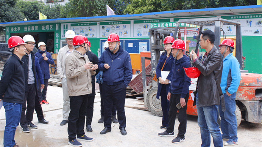 肖董视察南河-照片1 肖董视察南河-照片1