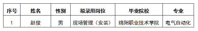 嘉远房产现场管理岗（安装）招聘公示