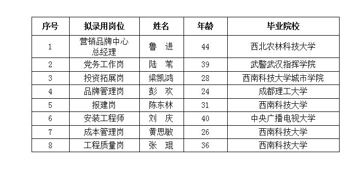绵投置地党务工作岗等8个岗位