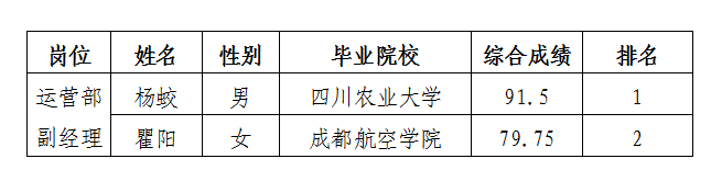 停车公司内部竞聘成绩公示